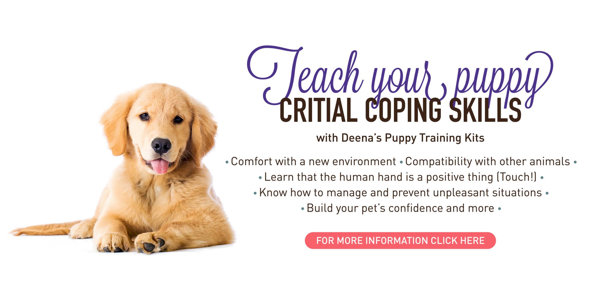 Puppy Training Kits